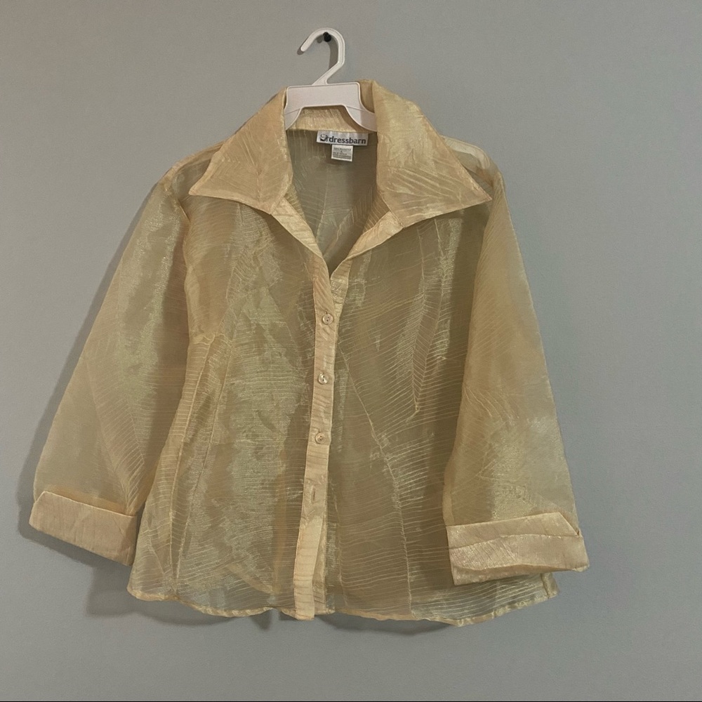 Gold Meshish Blouse